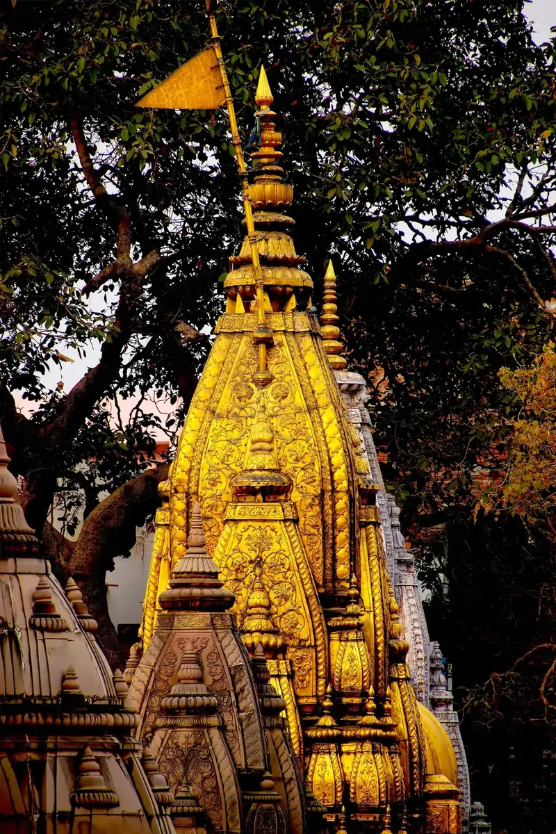 Visite ai templi al mattino presto a Varanasi, un importante luogo di pellegrinaggio dell'induismo, seguite da un viaggio a Sarnath, dove il Signor Buddha pronunciò il suo primo sermone.