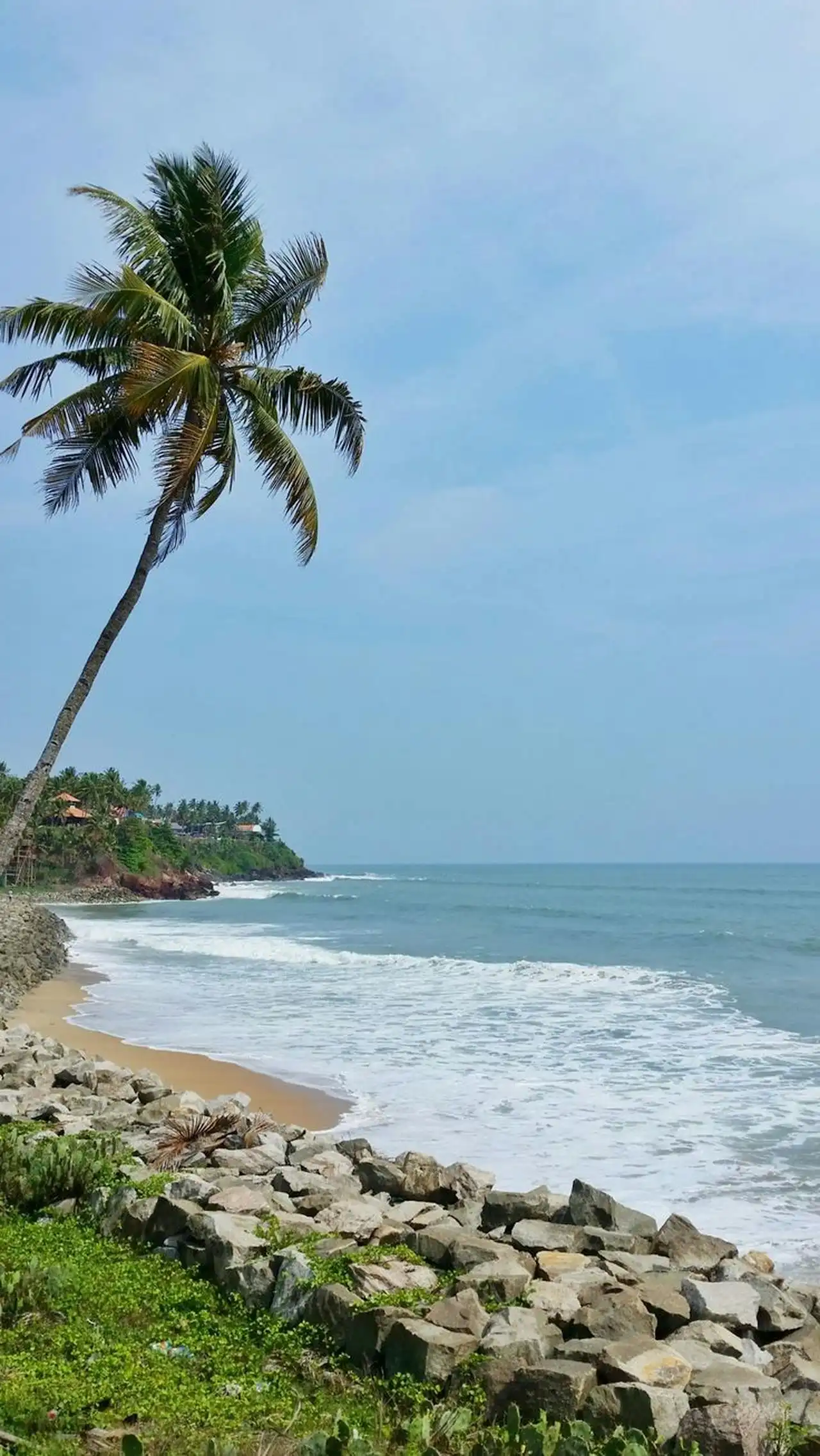 Scenic view of Wayanad landscapes, featuring Pookode Lake for boating, local markets with handicrafts, and a relaxing dinner experience.