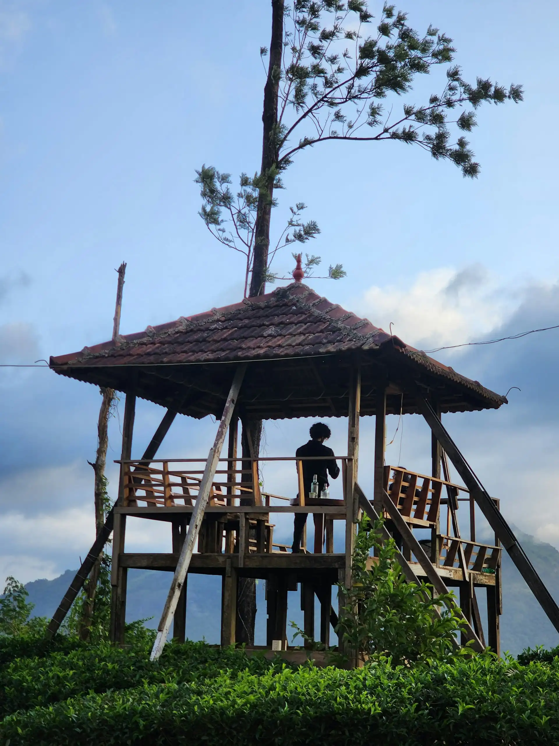 Explore Wayanad's natural beauty, featuring Edakkal Caves, Banasura Sagar Dam, and Meenmutty Waterfalls, ideal for relaxation and photography.