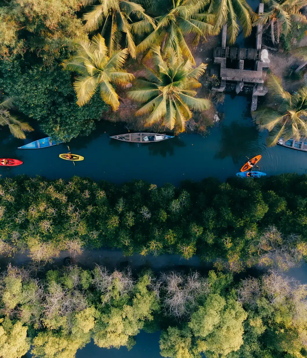 Entdecken Sie die Sehenswürdigkeiten von Kochi wie den Mattancherry Palast, die St. Francis Kirche und genießen Sie eine Hausbootfahrt in Alleppey.