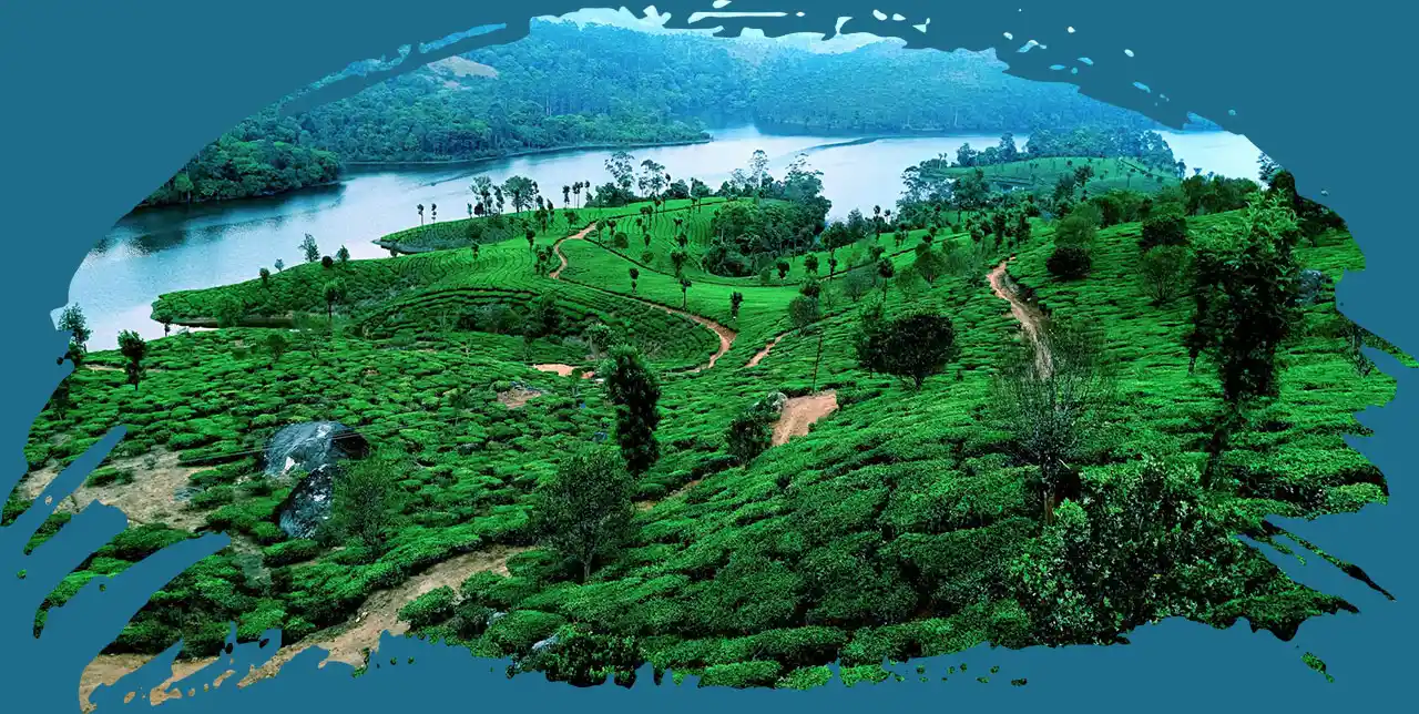 Kerala-Reise-Paket, das die Hügel von Munnar, die Strände von Varkala, die Teegärten von Vagamon und die Athirappilly-Wasserfälle hervorhebt.