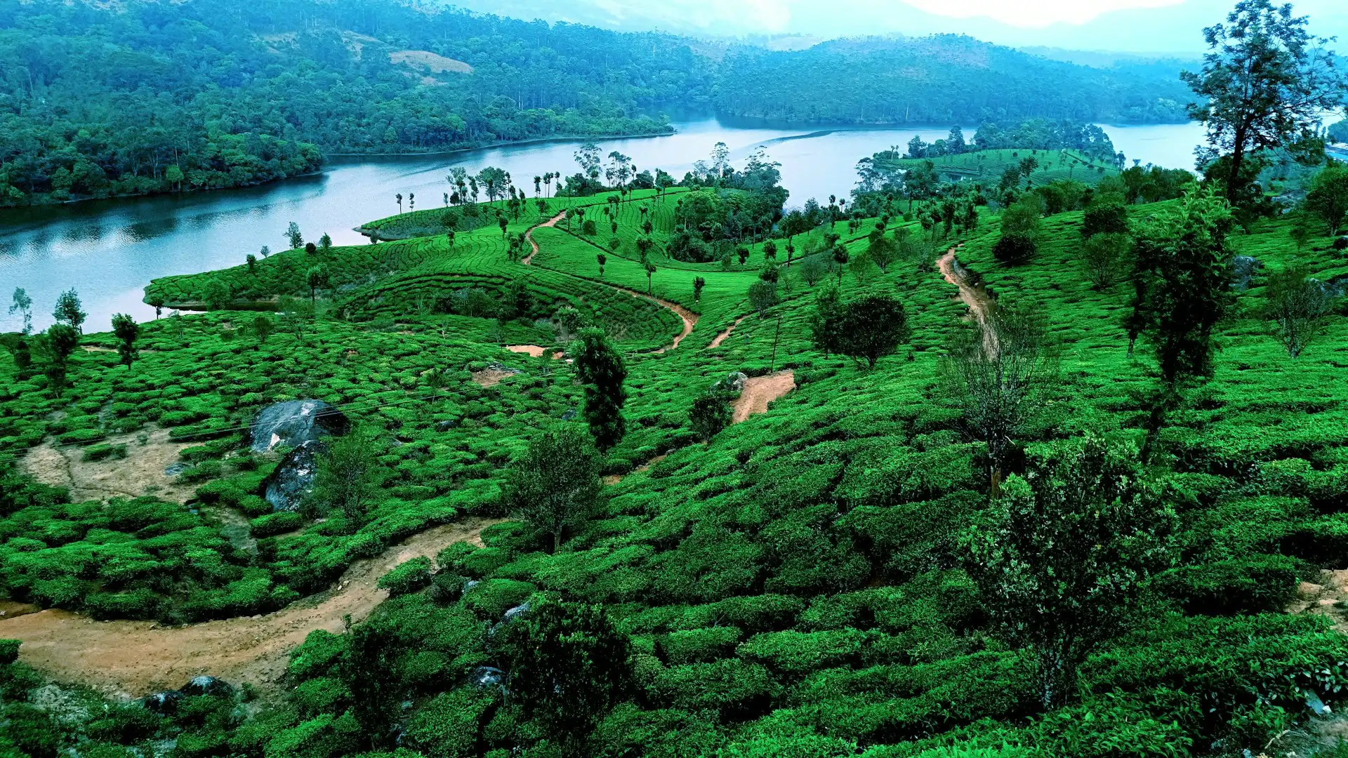 Kerala-Reise-Paket mit den Munnar-Hügeln, Varkala-Stränden, Vagamon-Teeplantagen und den Athirappilly-Wasserfällen.