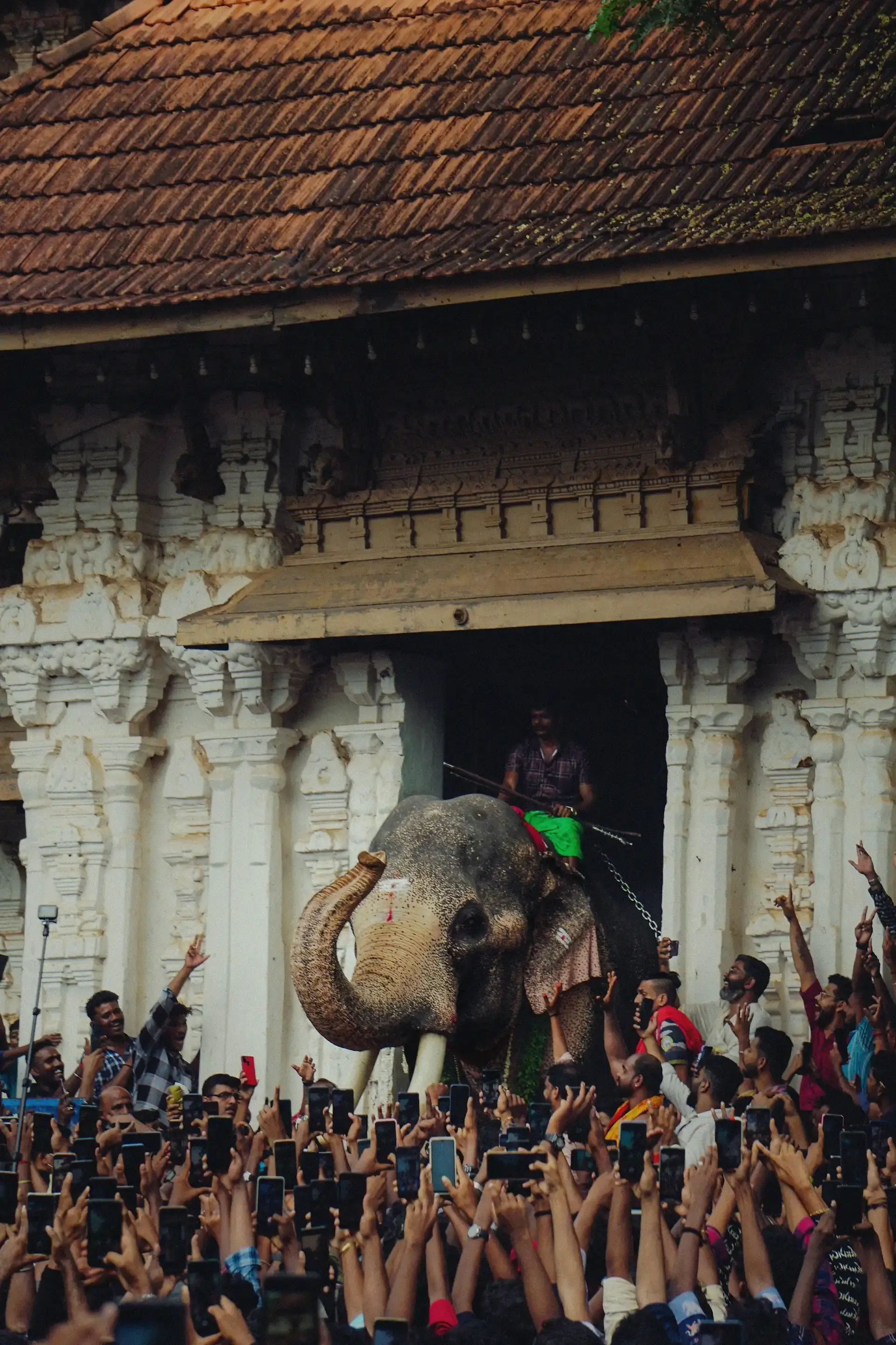 Erkunden Sie Kochis Sehenswürdigkeiten wie den Mattancherry-Palast und die St. Francis Church und genießen Sie eine ruhige Hausbootfahrt in Alleppey.