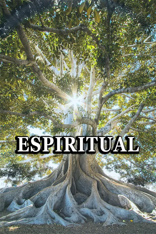 Explora tours espirituales en la India, visitando templos sagrados, sitios religiosos y experimentando tradiciones culturales.